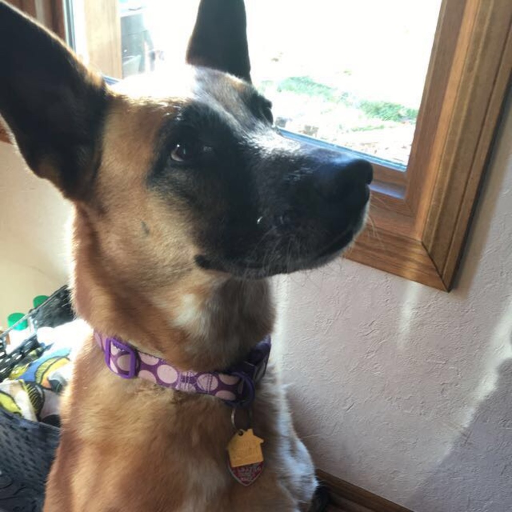 Meet your Posher, Amie